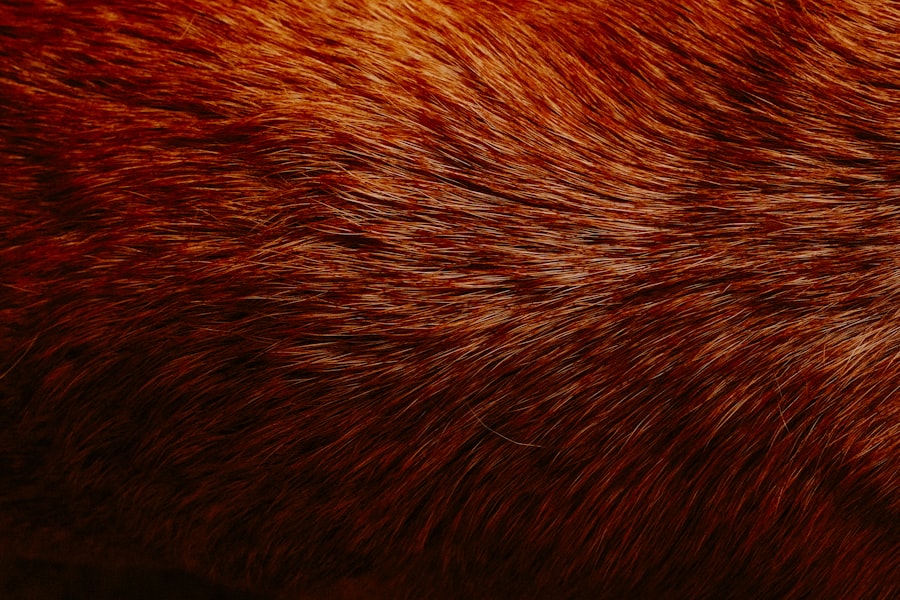 Oily Scalp