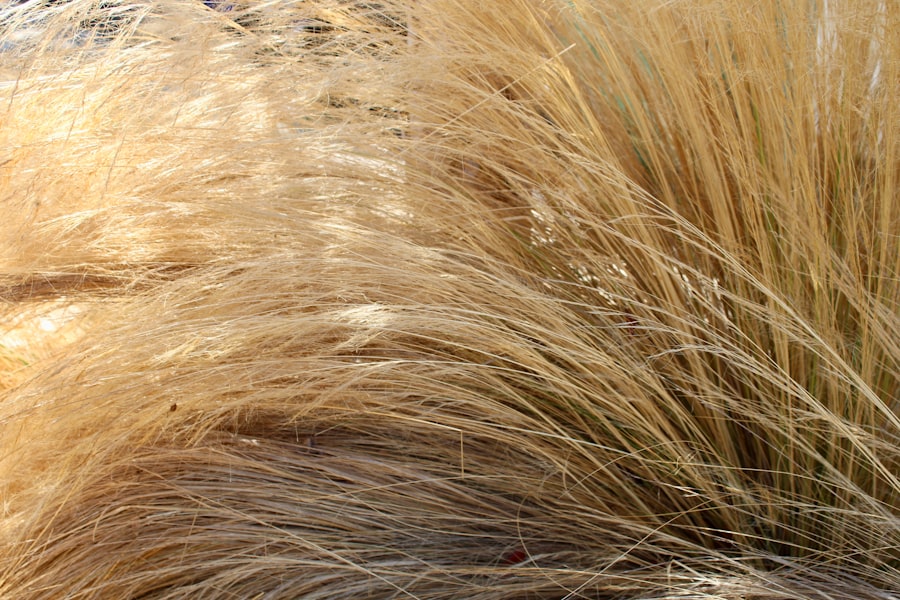 Biotin Benefits