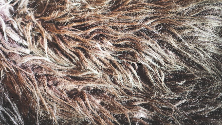 Hair Turns Grey Early
