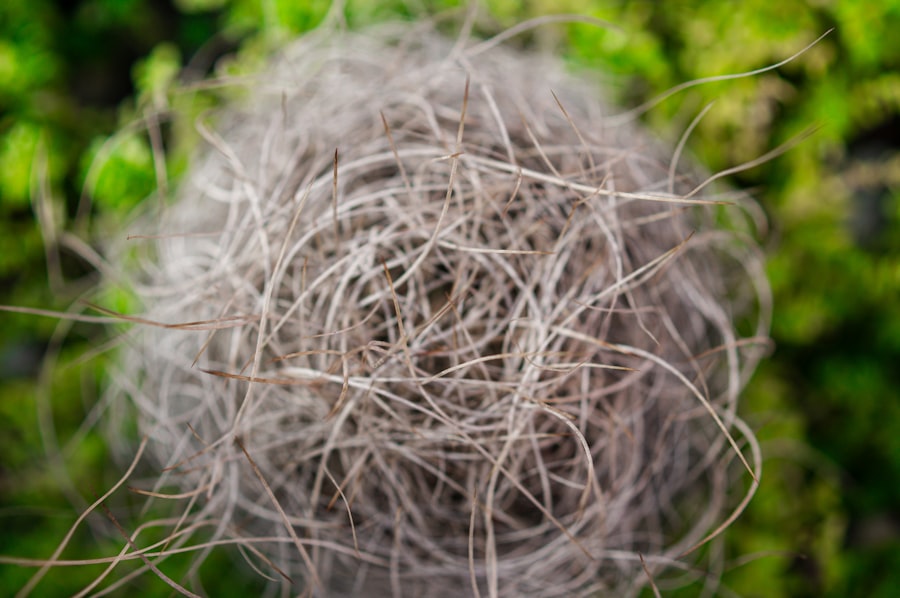 Stress, Grey Hair