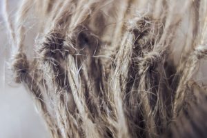Photo Hair Loss Myths