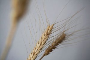 Photo Nutrition Mistakes