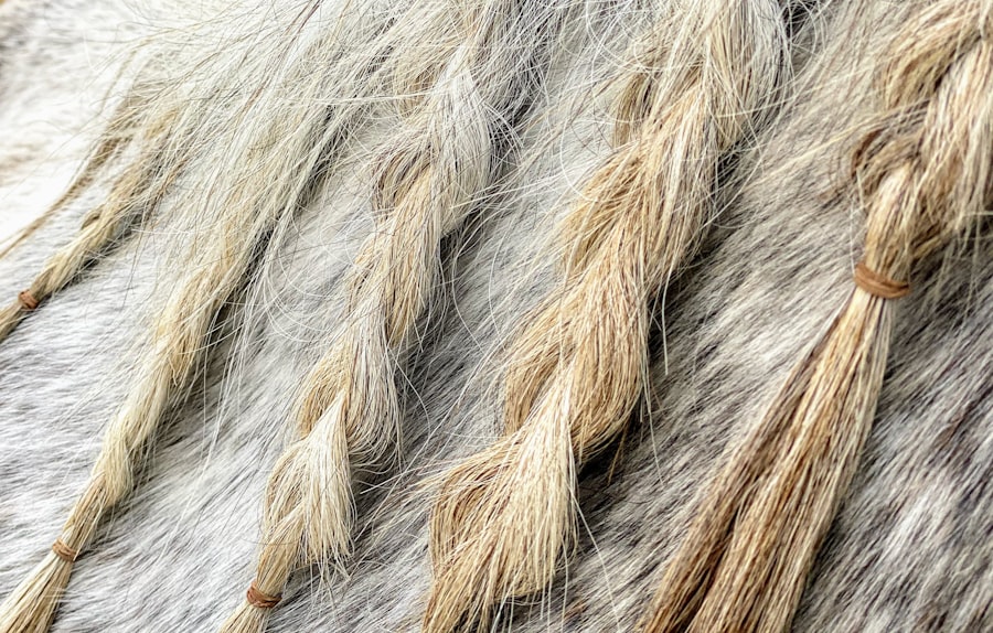 Photo Stress, Grey Hair