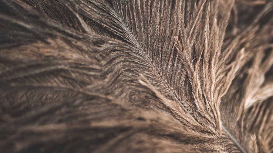 Photo Prevent Grey Hair