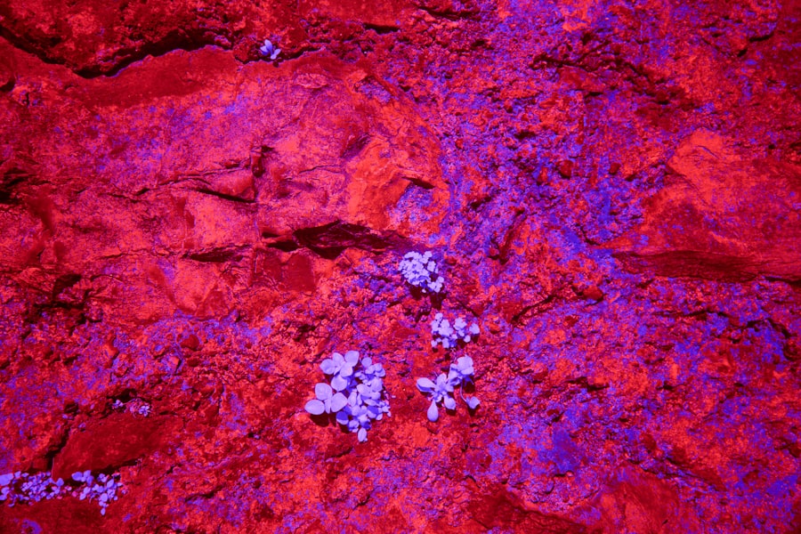 Photo Liver Tumor Evaluation