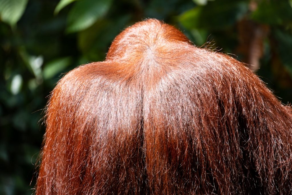 Photo Oily Scalp